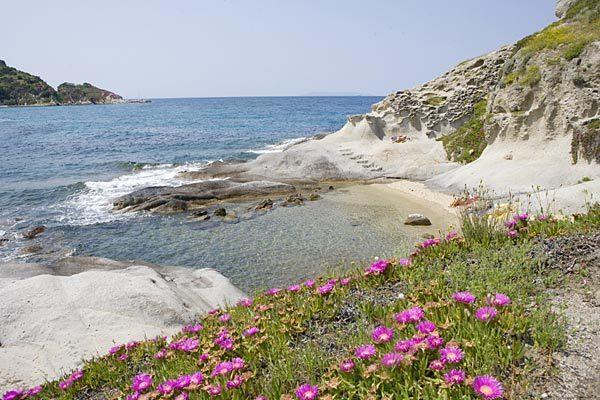 B & B Summer Marciana Kültér fotó